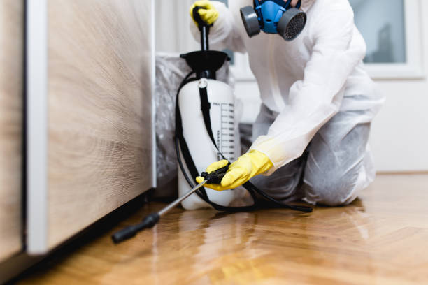 Best Ant Control Services  in Warren, OR