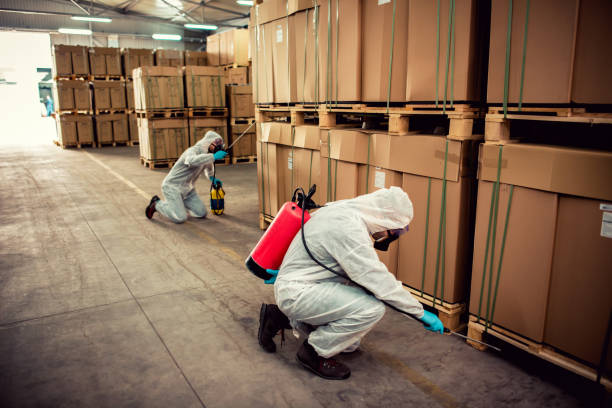 Best Insect Control  in Warren, OR
