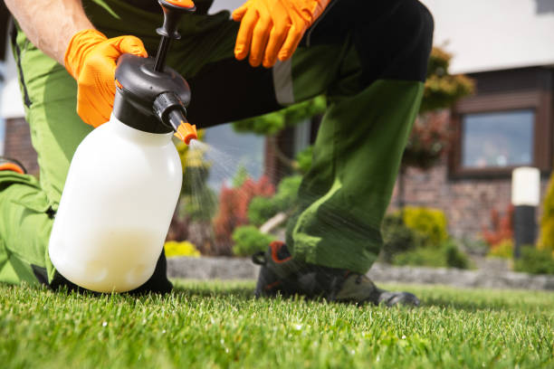 Best Pest Control for Homes  in Warren, OR