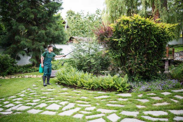 Best Pest Prevention Services  in Warren, OR