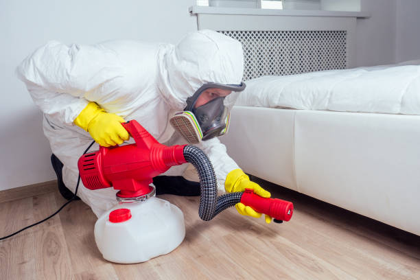 Best Rat Extermination Near Me  in Warren, OR