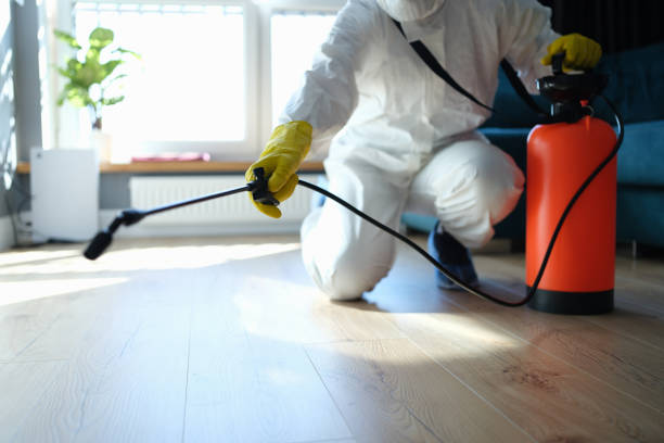 Best Flea Control Services  in Warren, OR