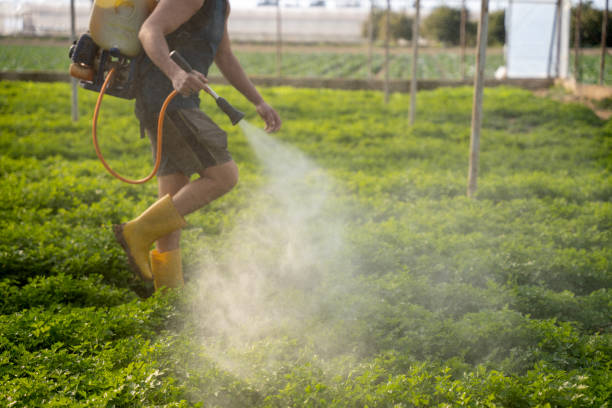 Best Commercial Pest Control Services  in Warren, OR