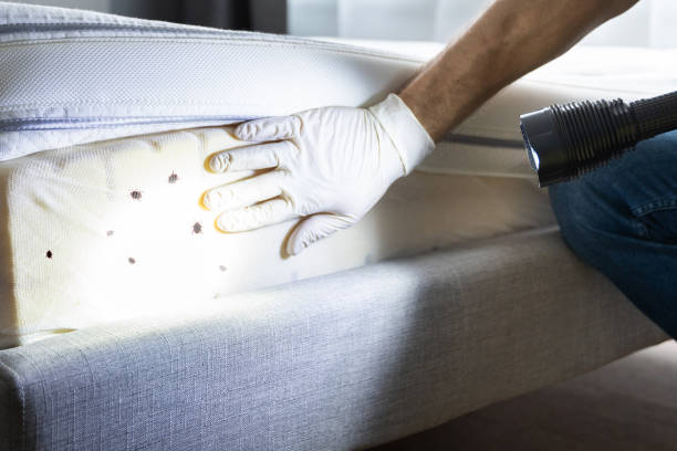 Best Best Pest Control Companies  in Warren, OR