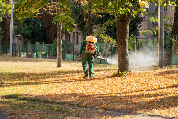 Best Flea Control Services  in Warren, OR